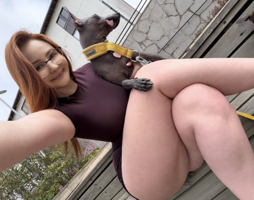 chloexxoo_'s tweet photo. My dog says hi😂 https://t.co/je3sCMTBPK
