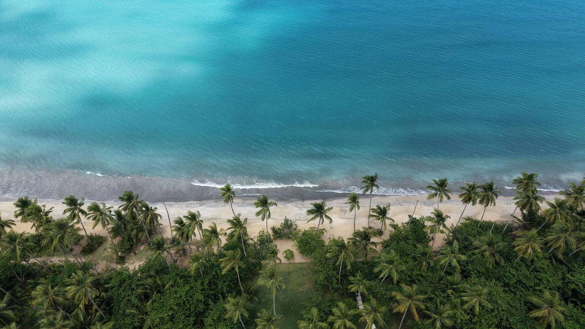 Navettaproperty's tweet photo. 5 bed, 5 bath villa 250m from Playa Coson. 413m2, furnished, turnkey. USD 890,000.
https://t.co/uM2WiZSjKI
#LasTerrenas #Samana https://t.co/Y787Li5DOZ