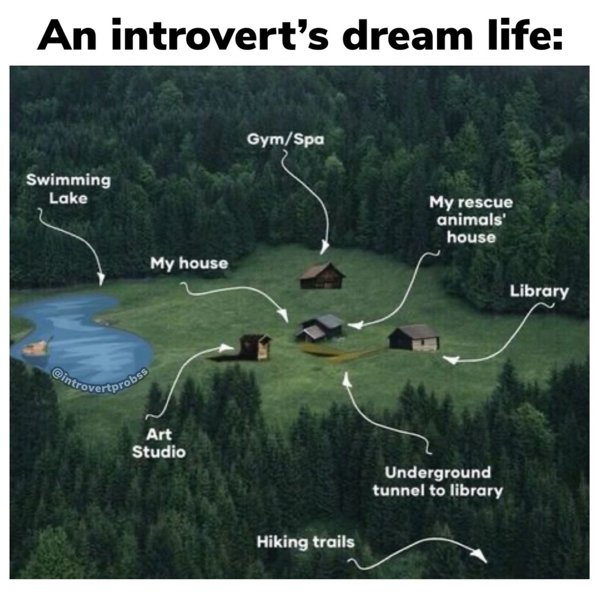 IntrovertApparl's tweet photo. https://t.co/IK0917FnHi