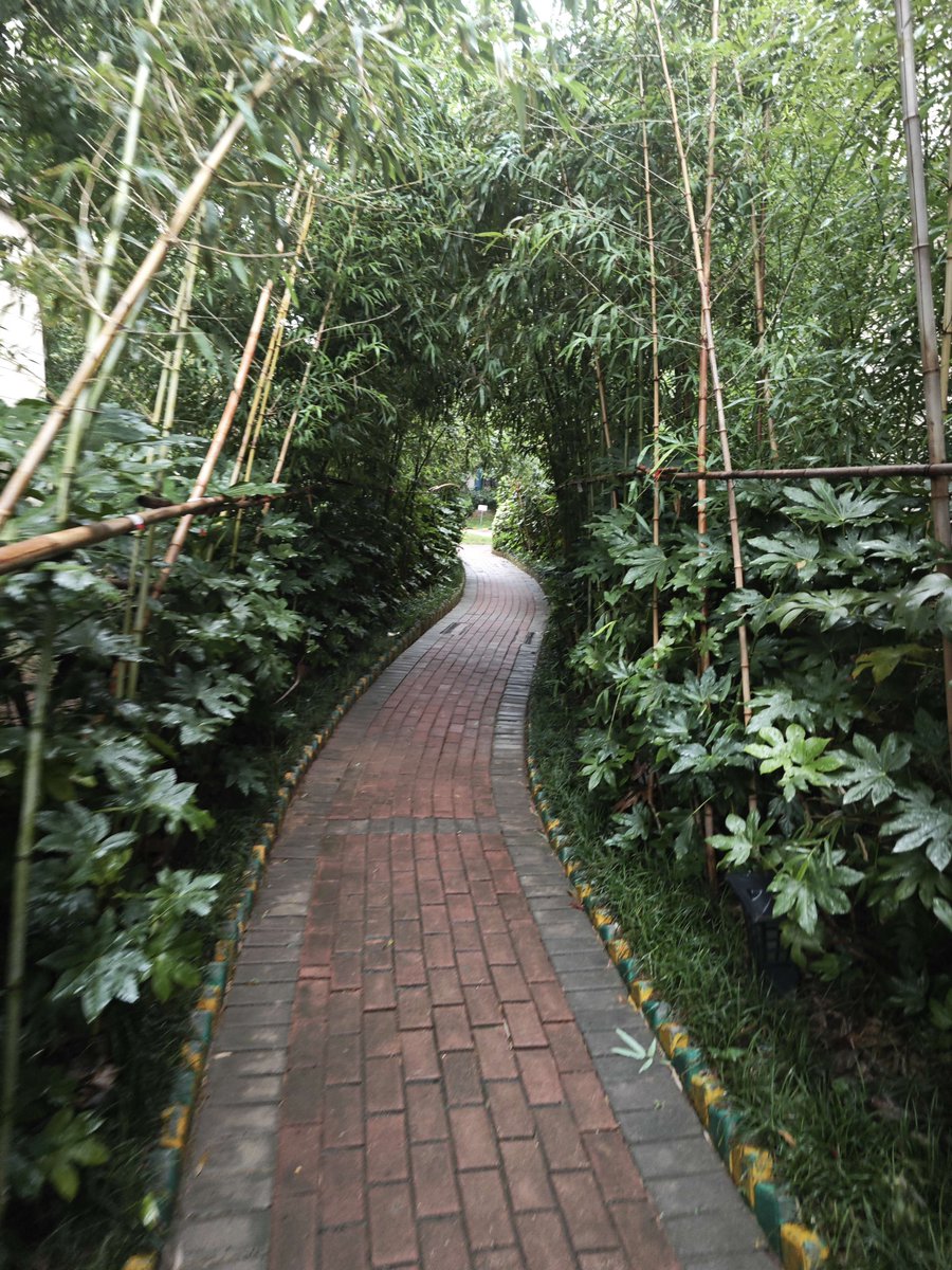 craft_ellen_da7's tweet photo. [The narrow things in daily life Wait, no, correct: "Small things matter—even the narrow, warm ones that tie us close."] https://t.co/3ibkNQwgfx