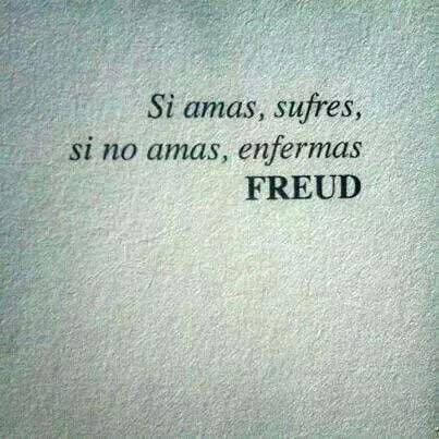 literlandweb1's tweet photo. “Si amas, sufres. Si no amas, enfermas”.
"Introducción al narcisismo", Sigmund Freud https://t.co/1ePlryuPqs