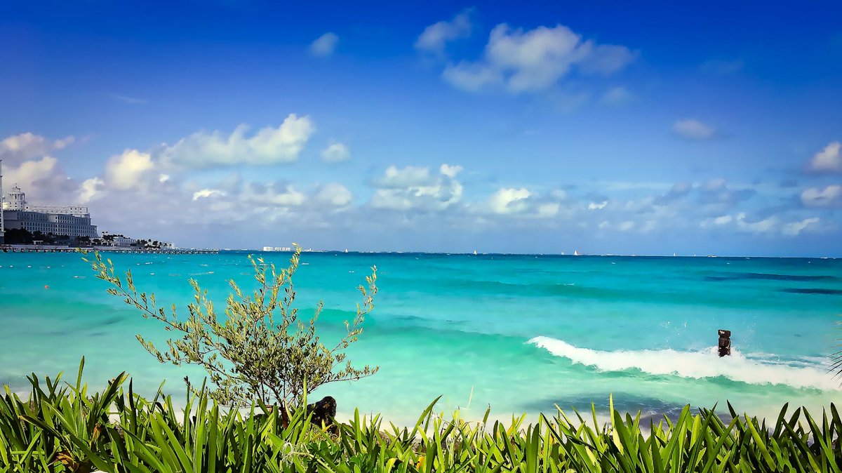 SunnysPoints's tweet photo. 19K AAdvantage miles to Cancun, Cabo, or Puerto Vallarta, round trip, from 100+ cities.
Normally $672 from Charlotte. Taxes about $150. That is 2.75¢ per point.
We think this deal lasts a few days.
The booking steps are on our site. The link is in our bio. https://t.co/QrtVvO9DEU