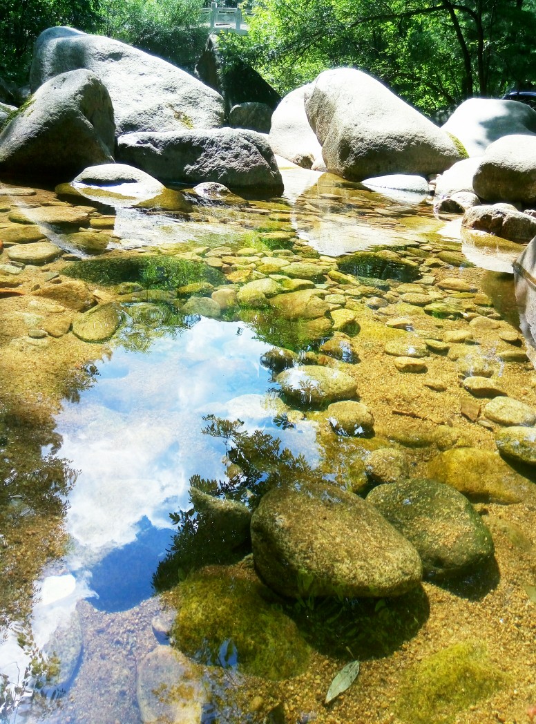 jack_torr_3_f89's tweet photo. When the mountain spring trickles at the foot of the hill, the square mat holds the oval stone, pure natural scene makes people feel quiet. https://t.co/pUvASa3ULd