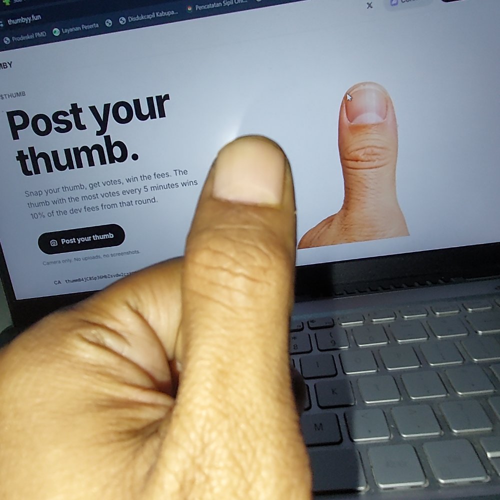 thumbyydotfun's tweet photo. thumb 561 https://t.co/KMxt1esodP