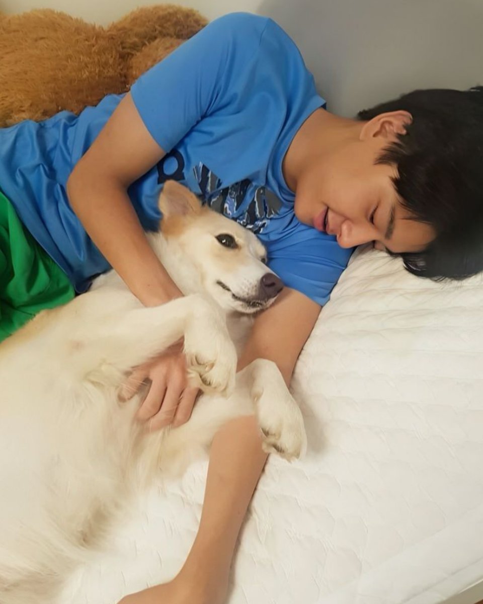 jakeyclub's tweet photo. layla is turning 12 years old this month 🥹 https://t.co/H0vsDUKuf8