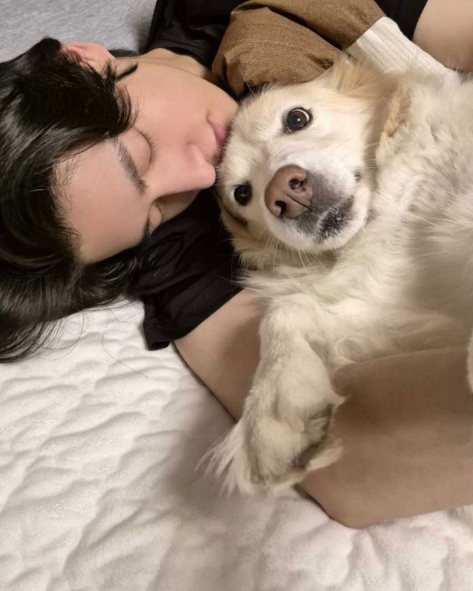 jakeyclub's tweet photo. layla is turning 12 years old this month 🥹 https://t.co/H0vsDUKuf8