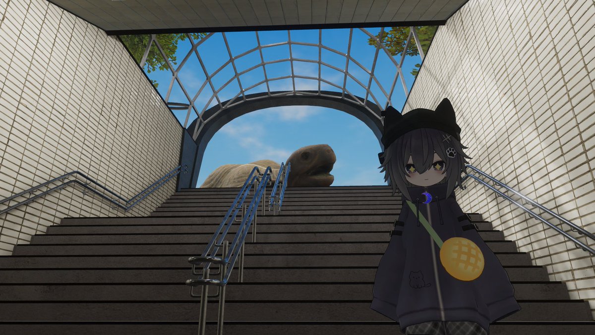 mecha_Oic's tweet photo. かめ！ https://t.co/SGRC8MQJTE
