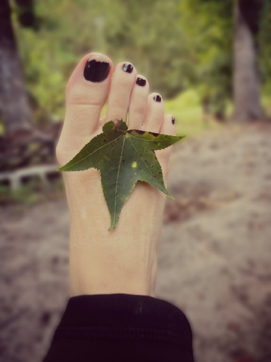 Eternal__Goth's tweet photo. #Nature #Foot #BlackNails #Goth #Leaf #Black #Photography https://t.co/oMuoazixAn