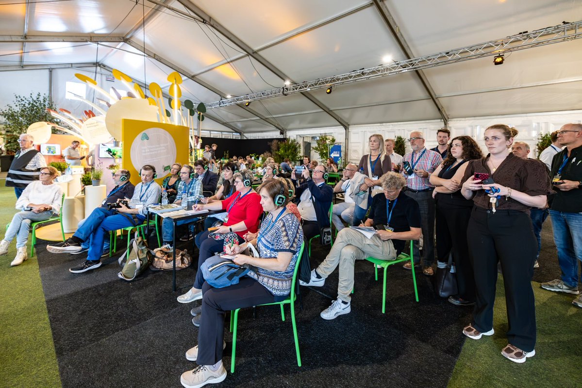 grootgroenplus's tweet photo. En de winnaars van de GreenGrandPrix zijn... 🎉

- Quercus Ilex Pyramidia 🏅
- Cardiandra Suapc 1707 🏅
- Miscanthus sinensis Vica 21 🏅
- Miscanthus sinensis Royal Purple 🥈
- Miscanthus sinensis Hilmah 🥈
- Agapanthus V002 🥉 https://t.co/MUyZkBKRDR