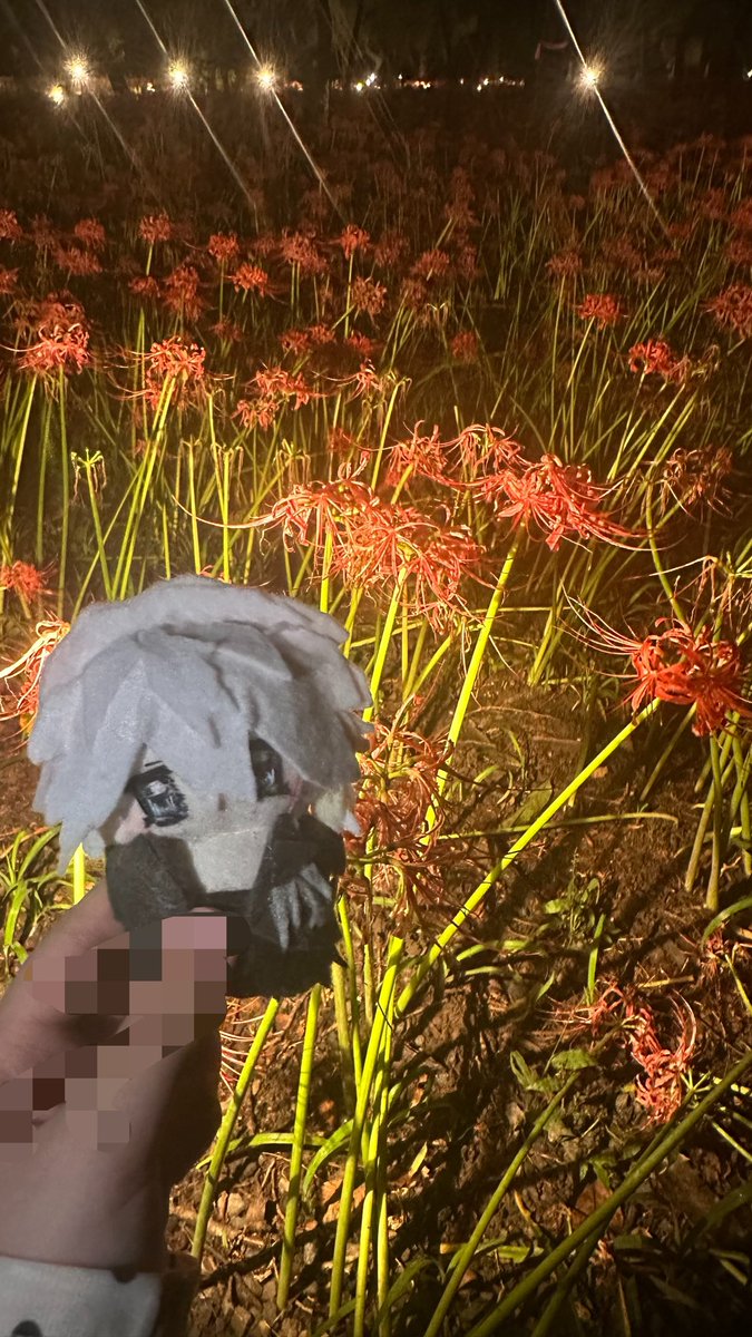 luvex325's tweet photo. ピーク過ぎてたけどたのしかった
(ˆ╷ ̫╷ˆ)
アクスタ持ってくの忘れた。 https://t.co/GR3nBHx3Of
