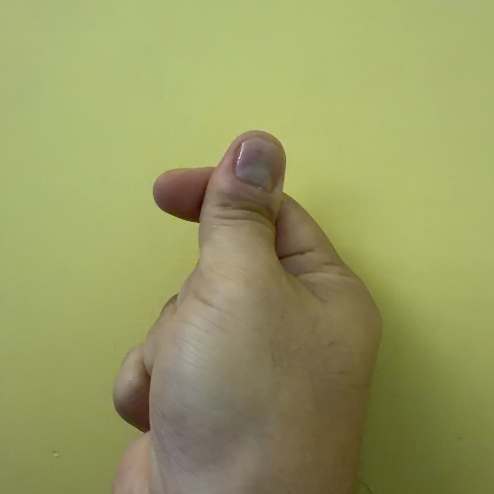 thumbyydotfun's tweet photo. thumb 562 https://t.co/9Xe7ptKEmx