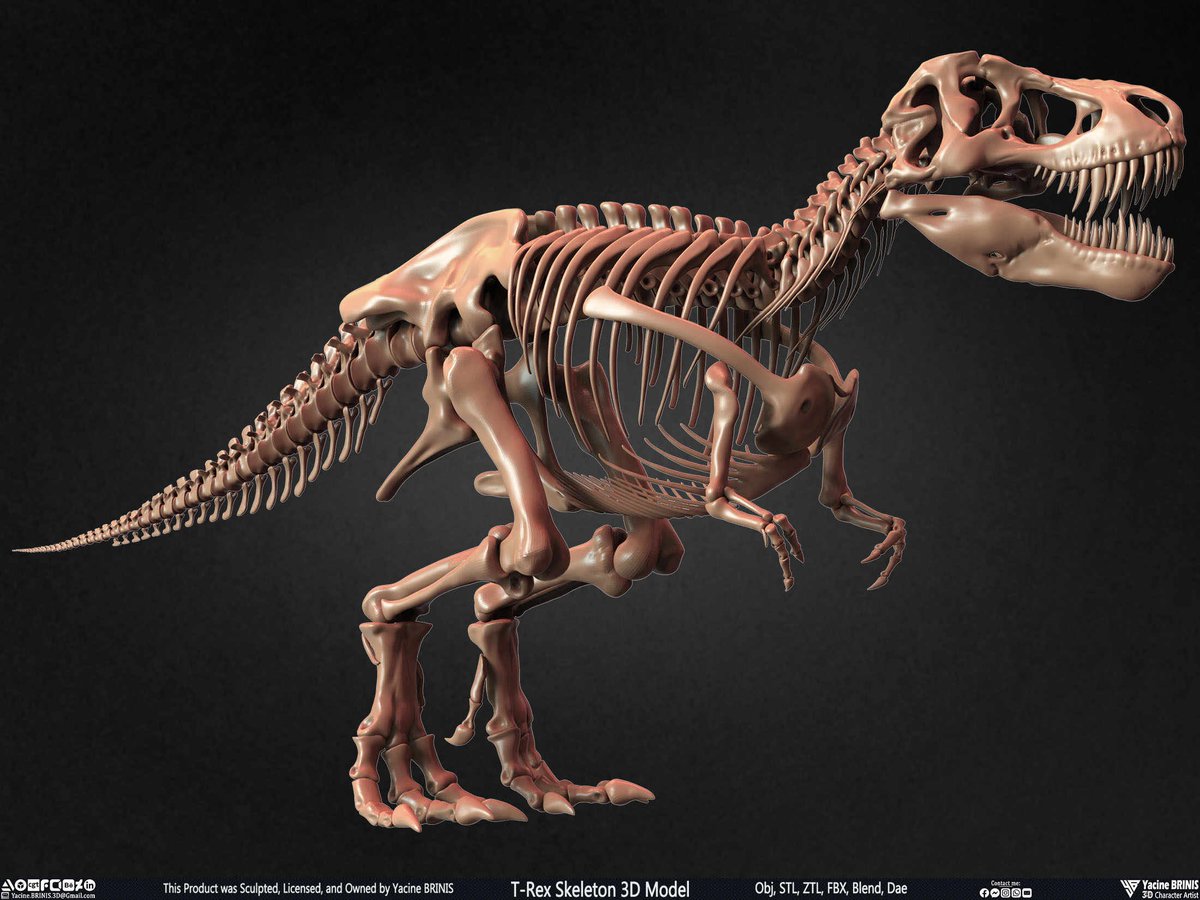 IceMaster_T's tweet photo. Okay here me out. The T-Rex didnt have little baby arms. That makes 0 sense

The person who assembled the skeleton put a few bones in the wrong spot

I had AI move the bones to be more like a chicken

T-rex's were Dragons. End of story.
@samtripoli @My_TeslaModelS @RjNol

#dragon https://t.co/yYX7LRFPXf