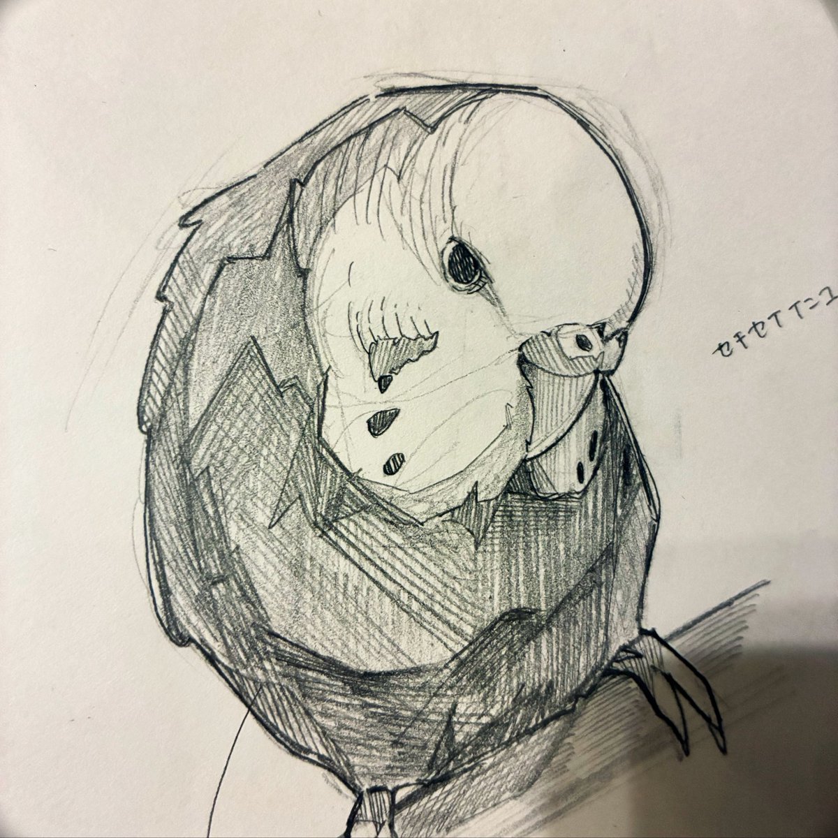 Tyama_desu's tweet photo. ｲﾝｺﾁｬﾝ🦜🦜🦜
#illustration‌‌ https://t.co/oycnvkTWe9