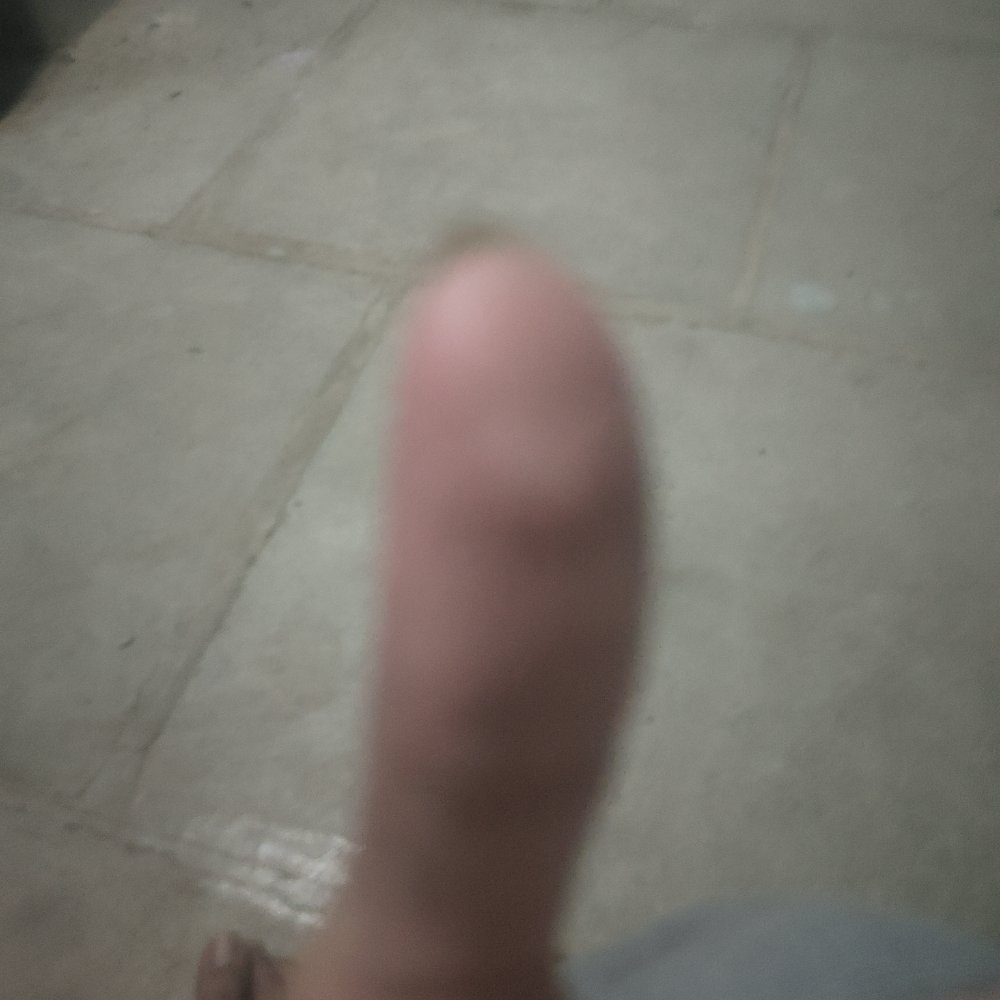 thumbyydotfun's tweet photo. thumb 564 https://t.co/4SYJDPns39