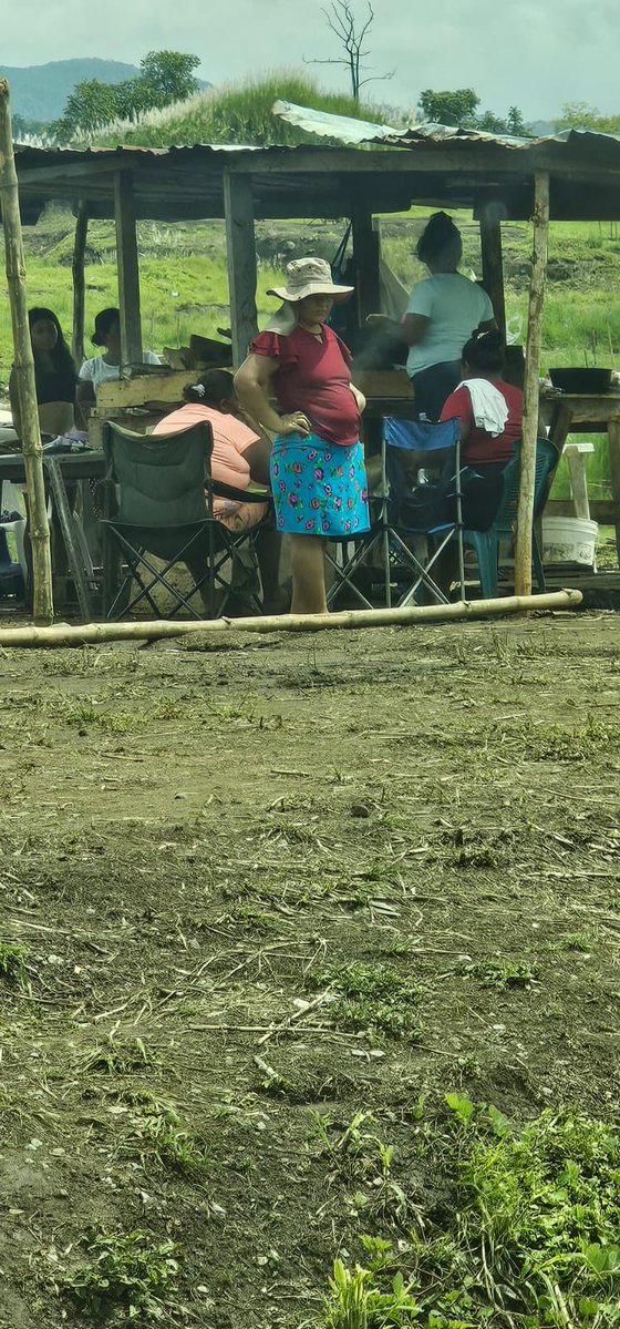 JLLauCruz's tweet photo. De nuevo los invasores del Terreno de Rana de Oro. Que más podemos hacer? @MinSegPma @MinGobPma @PGN_PANAMA @policiadepanama esto es en estos momentos. https://t.co/1Zh33fplo6