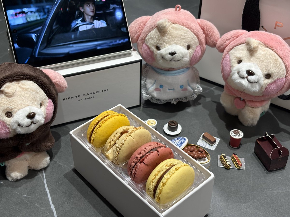 thecityscape's tweet photo. 심야의 뮤비 감상회와 아기들의 디저트 타임 🐶🧁🍫 https://t.co/DOUMlfvADY
