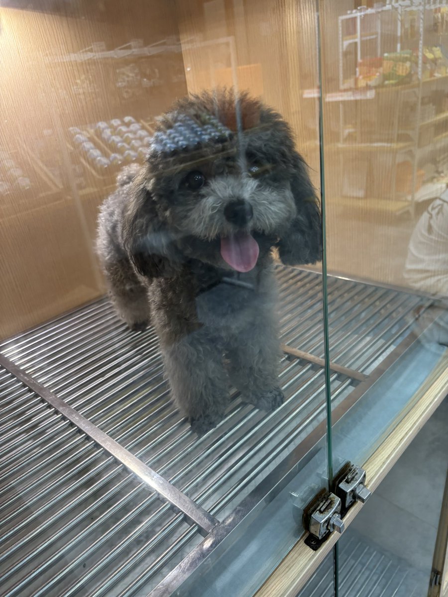 Lukapu0e's tweet photo. 是不是都在高速堵着刷 X 呢

🤪 https://t.co/TYrCvmyNeb