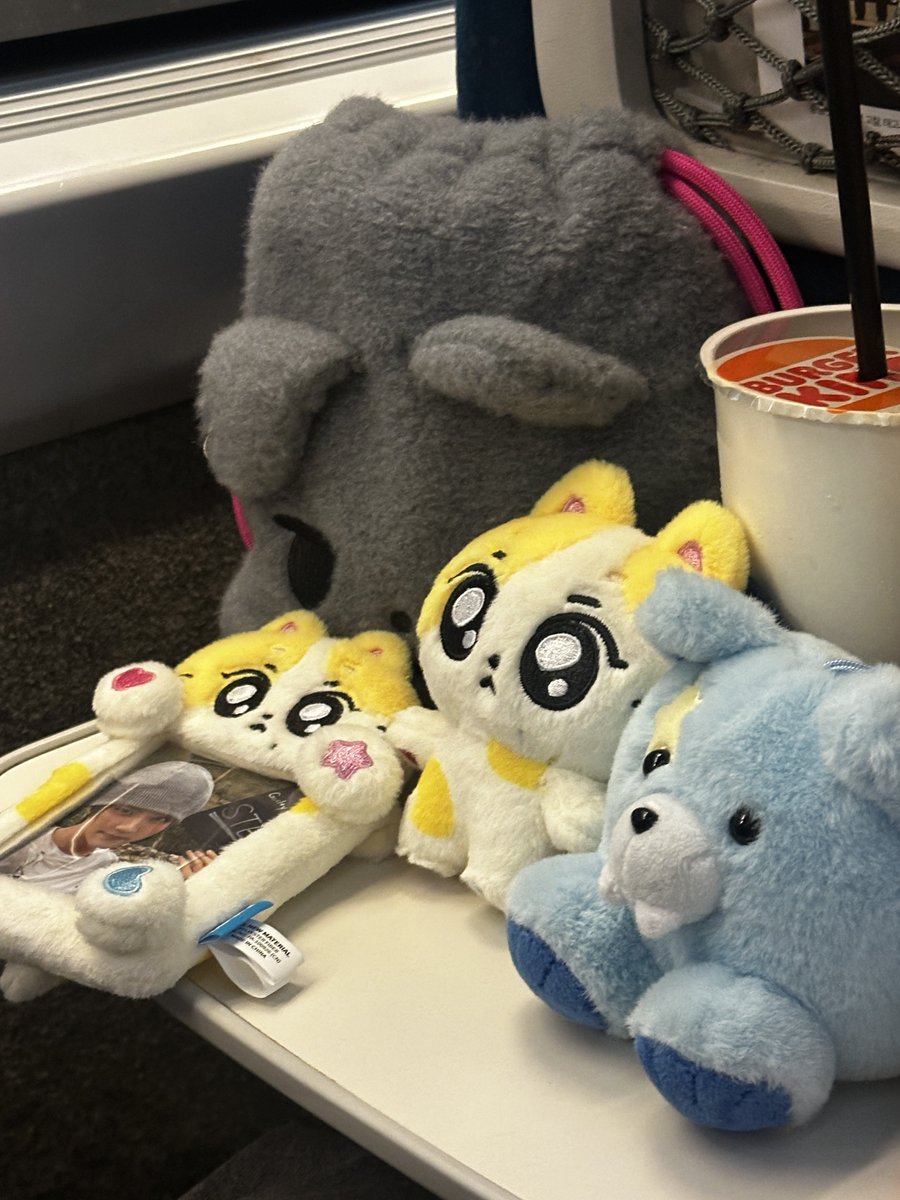 nyangchu_'s tweet photo. 블사콘 보러 부산 가는 ktx 안으로 돌아가고 싶다 .. https://t.co/vsNT8xsWPo