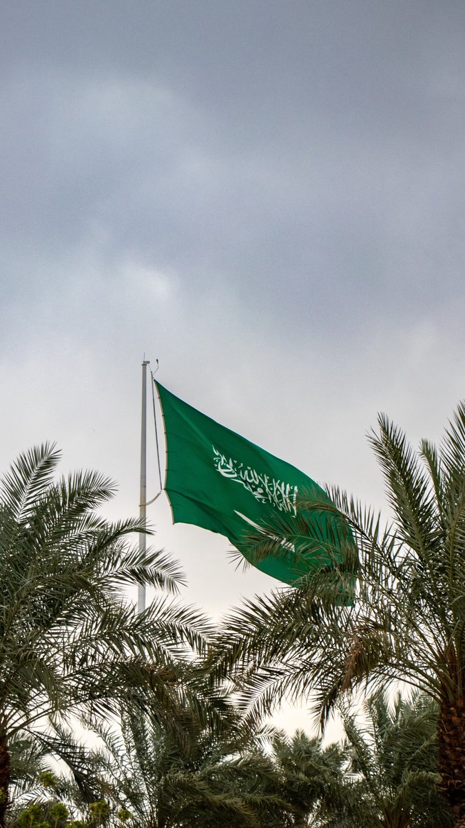 imarat_almadina's tweet photo. راية العزّ.. خفّّّاقة 🇸🇦

📸 بشار داغستاني https://t.co/2AJE8xbQ3I