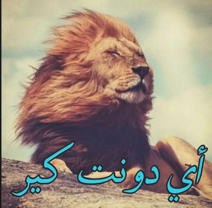 Liliasxds's tweet photo. بعد ما الذكور طعنوا بشرفي
Me: https://t.co/ymeixzAoAj