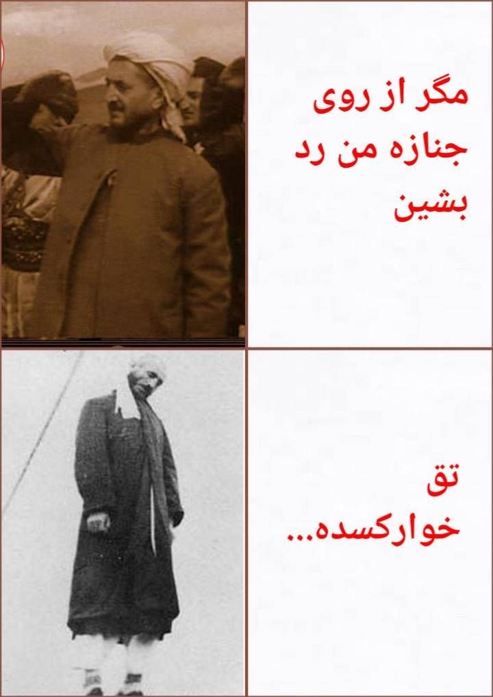 SorenaParthia's tweet photo. @pedram_vaziri99 خاهرتون اینجوری گاییدن  تحویل بگیر مادر هر جایی بز کوهی https://t.co/HcSrpSDHyU