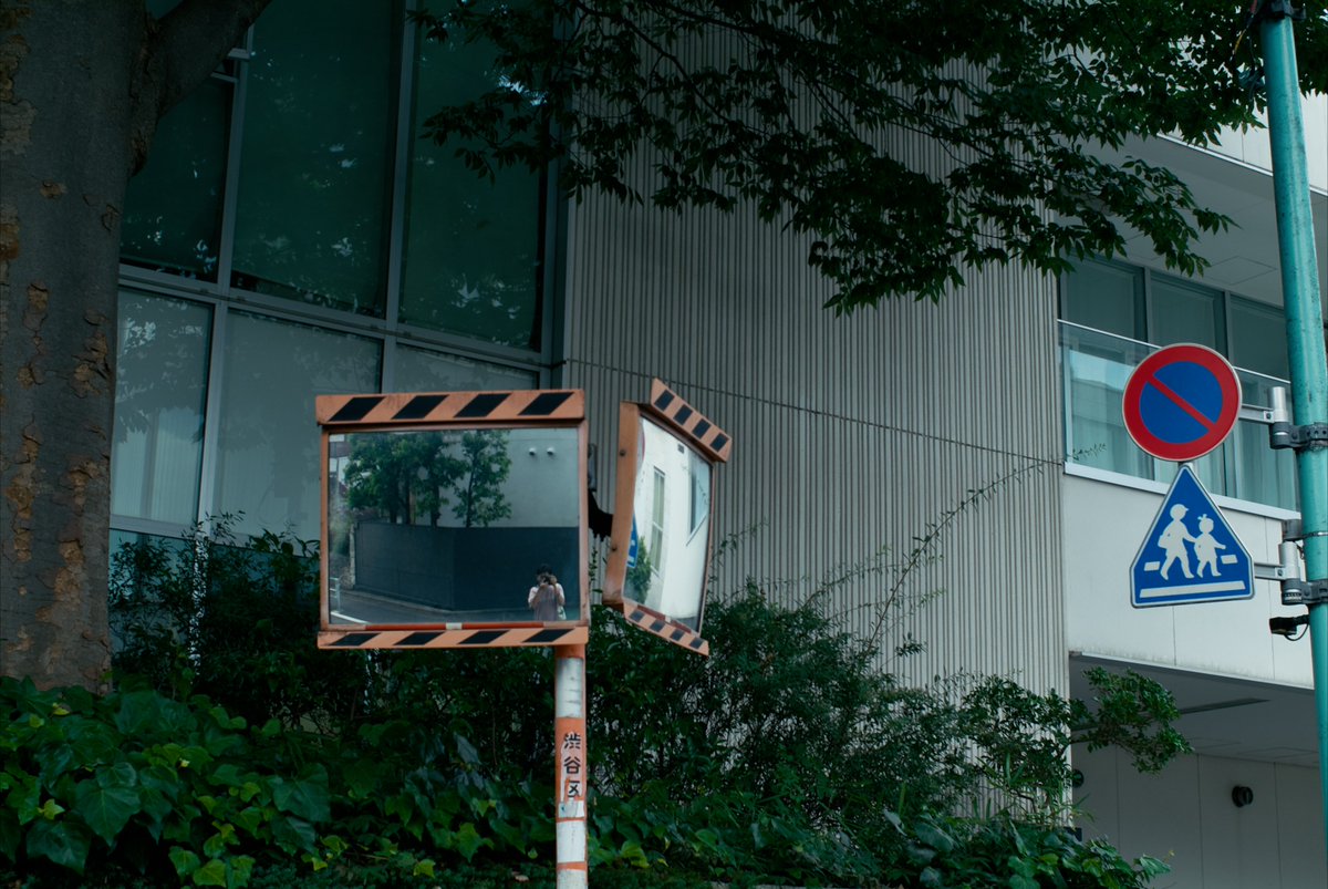 zndmt_filmzk's tweet photo. #finepix https://t.co/guprTOagKN