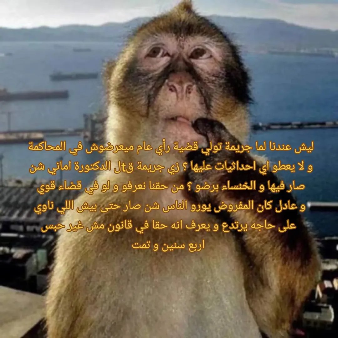 7nomorelimits's tweet photo. طبعا غمو عليهن زي ما غمو عاللي قبلهم 
#صوت_نساء_ليبيا
#ListenToLibyanWomen
#كلا_للمدونة_الجعفرية 
#كلا_لمدونة_العار 
#كلا_لزواج_القاصرات 
#كلا_لغسل_العار 
#بلا_نقاب_٢٠٣٠ 
#freeallwomen https://t.co/p9UUALTUhe