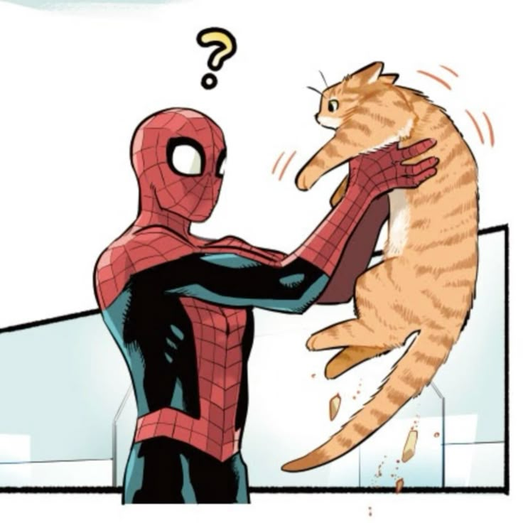 jeangreysfx's tweet photo. i need more spider-man with cats please https://t.co/sg560o5Nm5