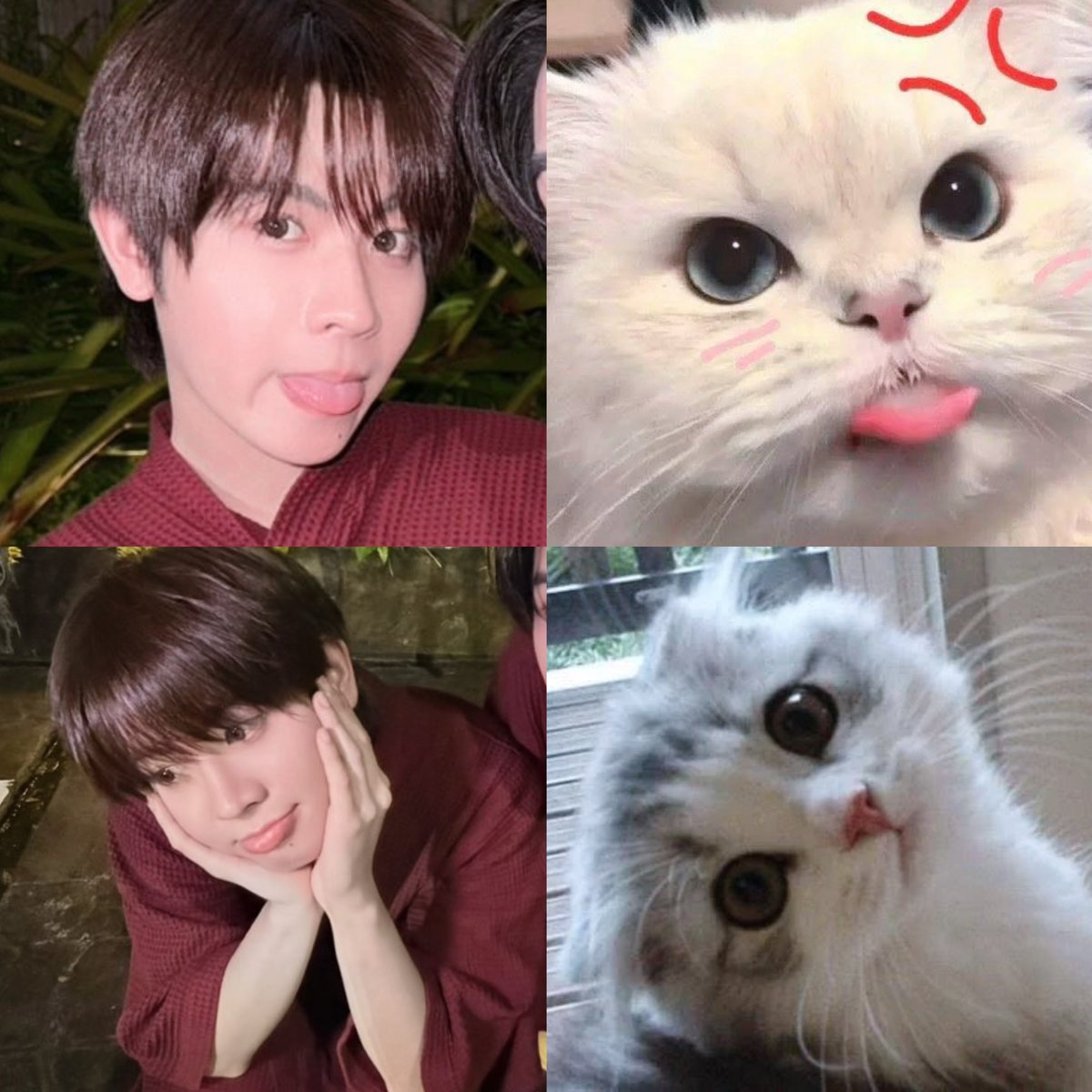 pchymysn's tweet photo. หอมกลิ่นแมวเด็ก😭😭😭😭😭😭😭 https://t.co/6wJYLDogng