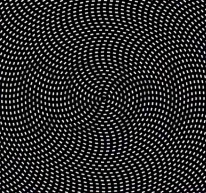 Irina_exh's tweet photo. No one has found this number yet.

LEVEL - VERY HARD

What number do you see? https://t.co/yFfFs0CFlr