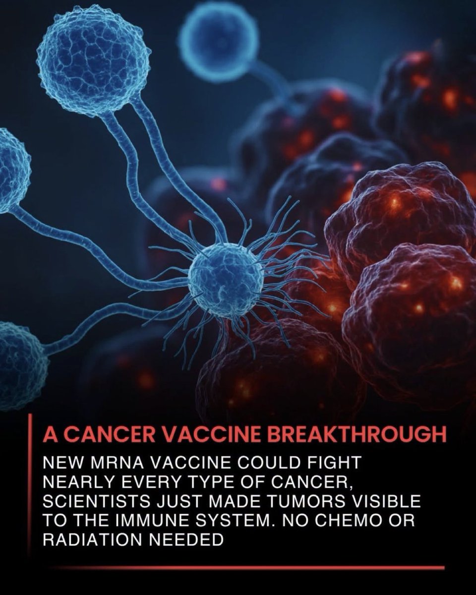 drpetesulack_'s tweet photo. 🧬 A Cancer Vaccine That Could Wake Up the Immune System

Scientists at the University of Florida are testing an experimental mRNA approach that could change how some difficult cancers are treated.

The intriguing part? Instead of targeting one specific cancer protein, the vaccine appears to activate the immune system like an alarm, increasing type-I interferon signals and helping immune cells recognize tumors more effectively.

In mouse studies, this triggered epitope spreading—allowing the immune response to recognize multiple tumor targets. The treatment also helped make previously resistant tumors more vulnerable to immunotherapy.

The idea is still experimental, and it is not yet a universal cancer vaccine or a replacement for chemotherapy and radiation. But researchers are exploring whether this immune “wake-up call” could eventually work against many hard-to-treat cancers.

The mystery now is whether the remarkable results seen in animals can translate into lasting benefits for people.

Source: Qdaisat, S., et al. Sensitization of tumours to immunotherapy by boosting early type-I interferon responses enables epitope spreading. Nature Biomedical Engineering.