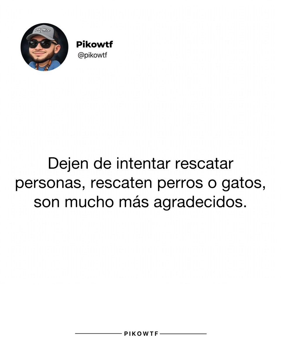 pikowtf's tweet photo. https://t.co/zrZgTPM8Mg