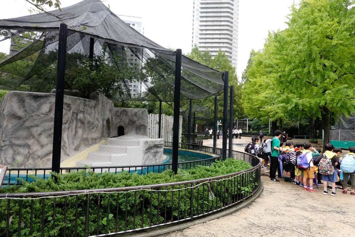 r_ichiro's tweet photo. 上野動物園、だいぶ空いていた。
遠足:修学旅行:外国人:その他が3:3:1:3くらい。3:3:2:2かもしれない。
前から気になっていたチーズハンバーグを食べてみた。
ハトやスズメが寄ってくる。ポテトをハトにやっている人がいるらしい。 https://t.co/OAh2CGCyrV