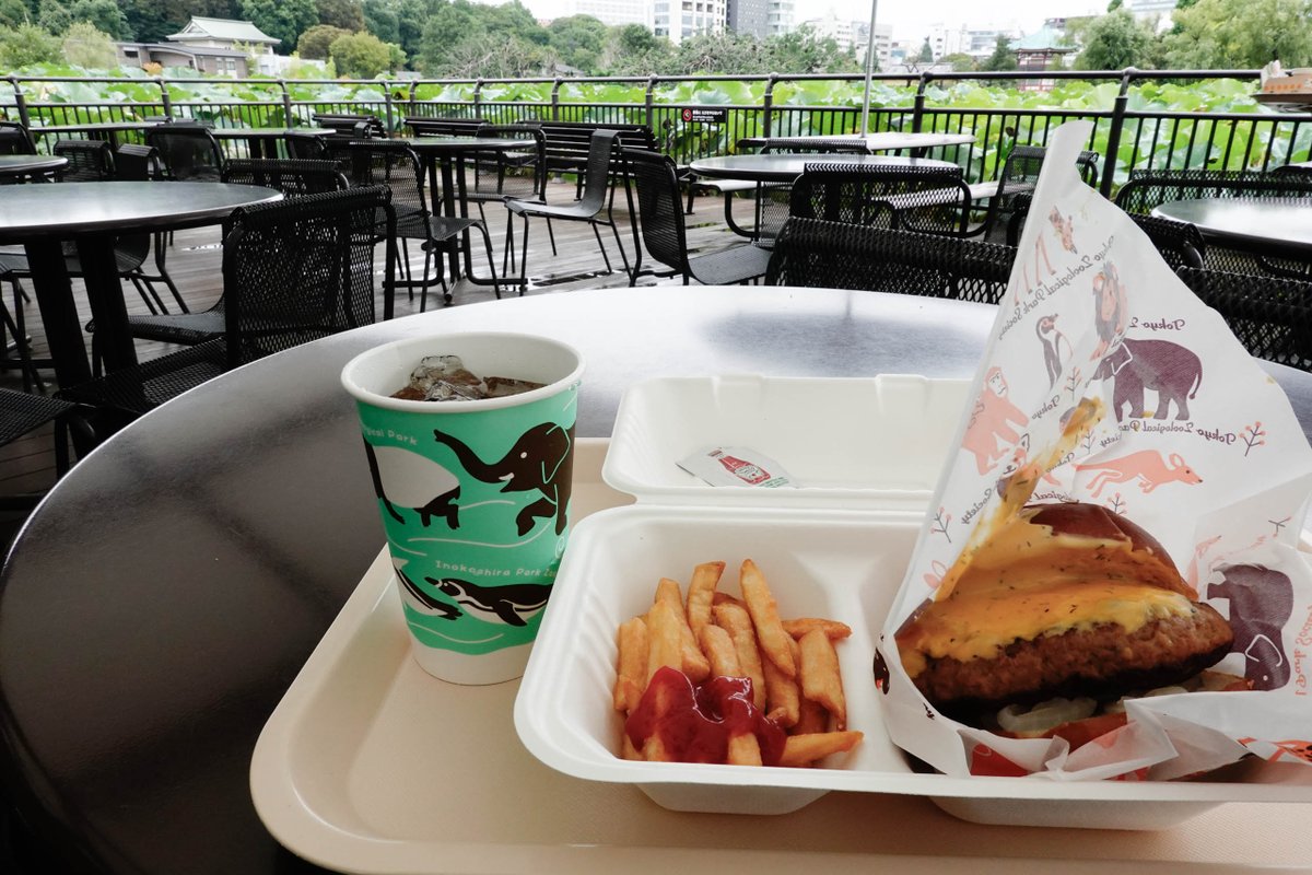 r_ichiro's tweet photo. 上野動物園、だいぶ空いていた。
遠足:修学旅行:外国人:その他が3:3:1:3くらい。3:3:2:2かもしれない。
前から気になっていたチーズハンバーグを食べてみた。
ハトやスズメが寄ってくる。ポテトをハトにやっている人がいるらしい。 https://t.co/OAh2CGCyrV