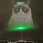 Photo by Grumpy Cat (@GrumpPumpSol)