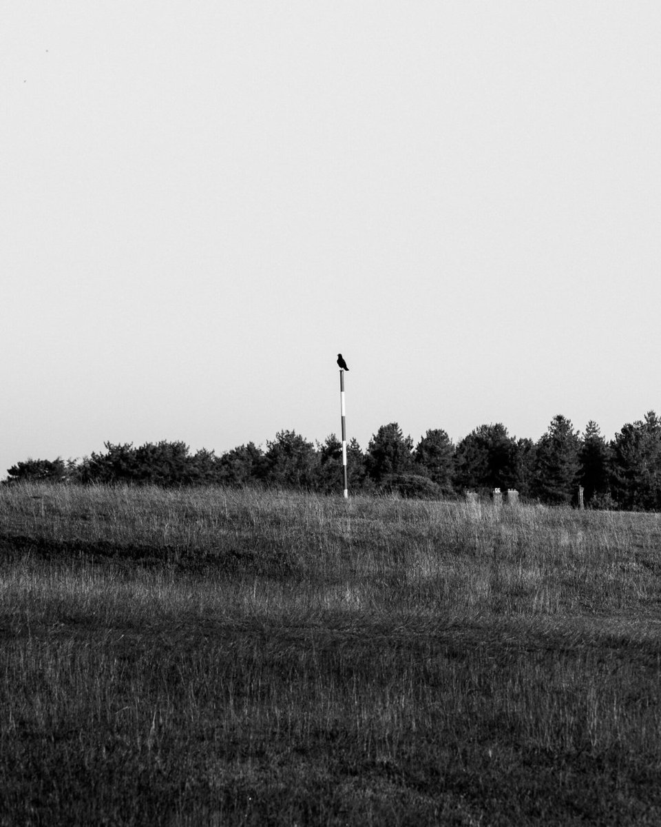 delameregolf's tweet photo. In black and white our Herbert Fowler heathland looks absolutely stunning. The shapes, the shadows, the unmistakable sense of peacefulness. https://t.co/IGaJtBTp8Y