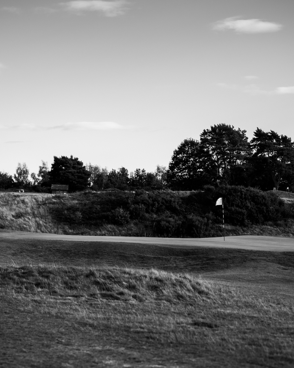 delameregolf's tweet photo. In black and white our Herbert Fowler heathland looks absolutely stunning. The shapes, the shadows, the unmistakable sense of peacefulness. https://t.co/IGaJtBTp8Y
