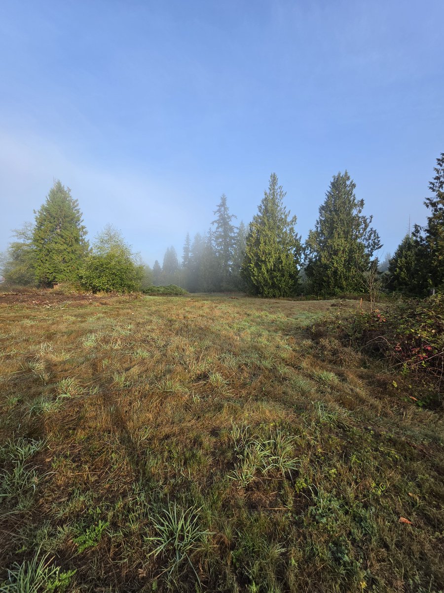 AntonStetner's tweet photo. Working on home site locations for this Lake Stevens project https://t.co/7FaJdv24Cj