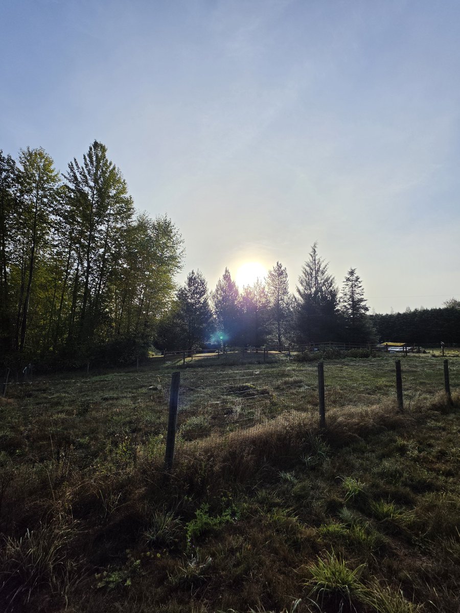 AntonStetner's tweet photo. Working on home site locations for this Lake Stevens project https://t.co/7FaJdv24Cj