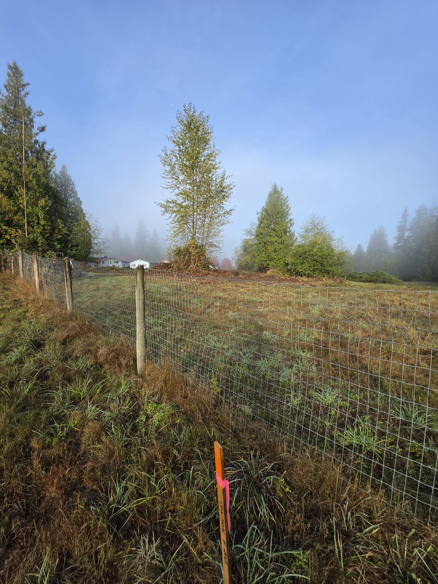 AntonStetner's tweet photo. Working on home site locations for this Lake Stevens project https://t.co/7FaJdv24Cj