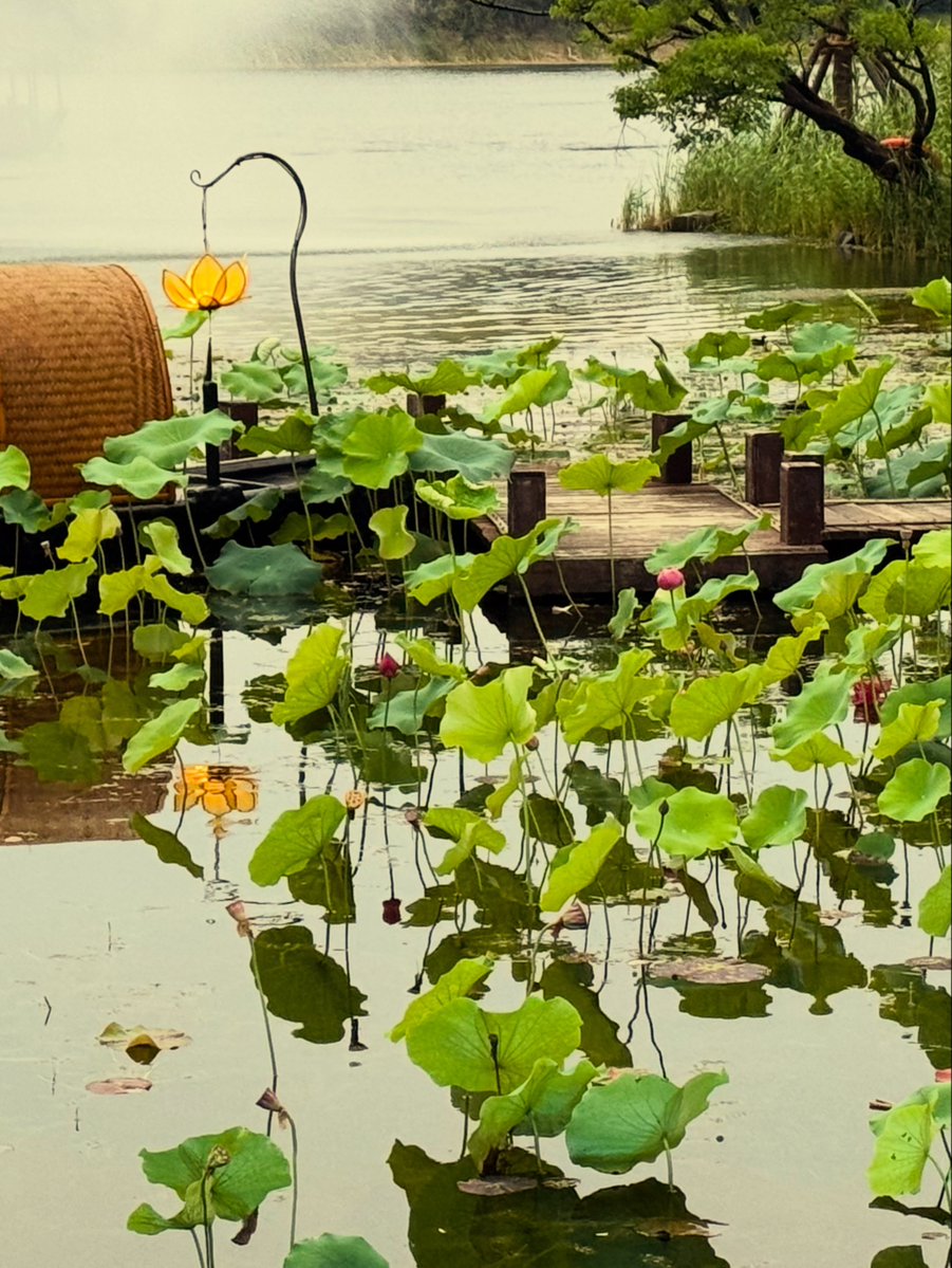 MaxieJupitth's tweet photo. Taking a much-needed pause amid the peaceful beauty of Nianhua Bay in Jiangsu. A gentle reminder that rest can be as nourishing as creating. https://t.co/Ob09ry2WH0