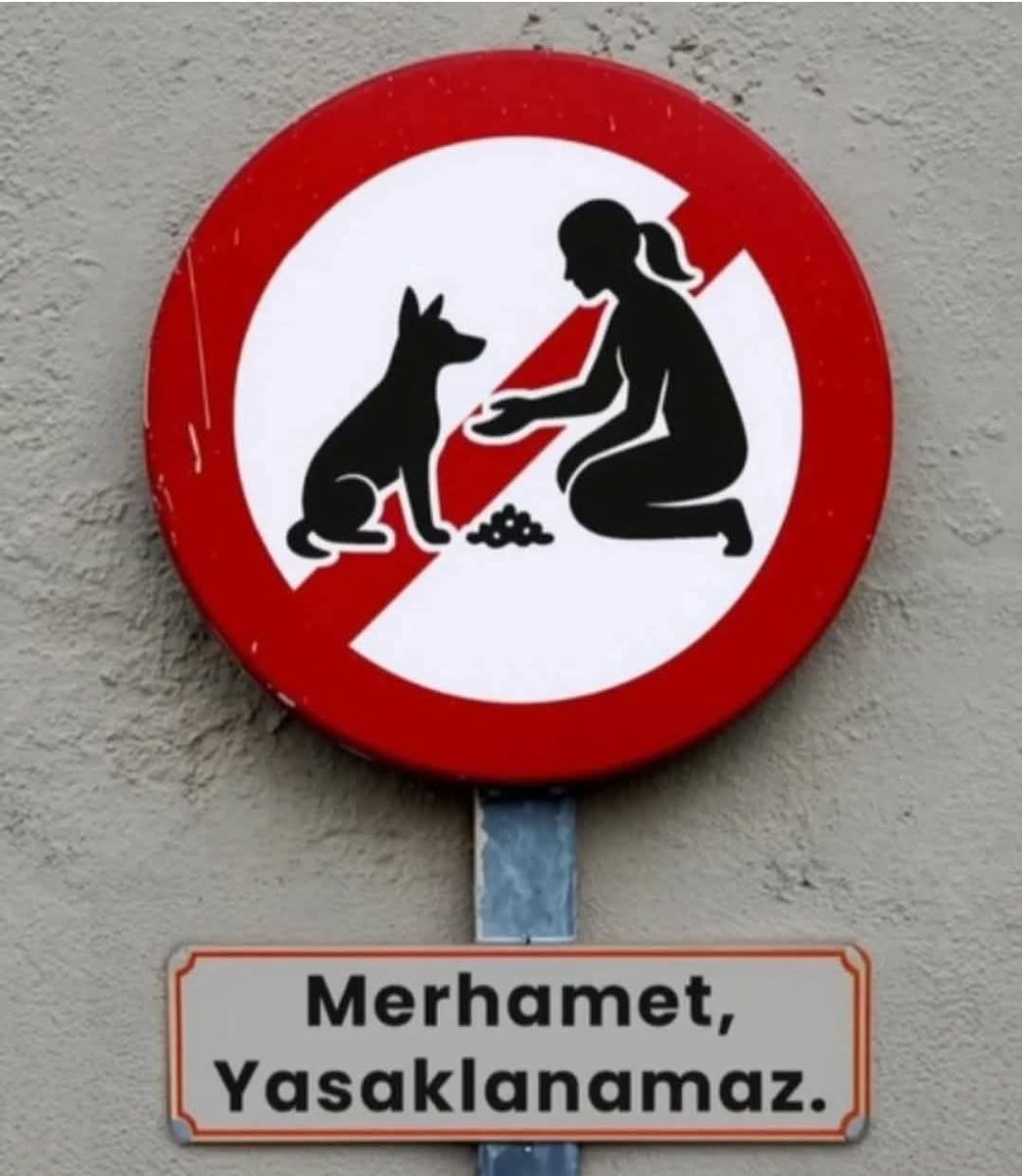 bisikletsizadam's tweet photo. Engellemelere Rağmen
BESLİYORDUK❗️

Engellemelere Rağmen
BESLİYORUZ❗️

Engellemelere Rağmen
BESLEYECEĞİZ❗️

#BeslemeYasaklanamaz
#SokakHayvanlarıSahipsizDeğil https://t.co/KkzqwvbU5I