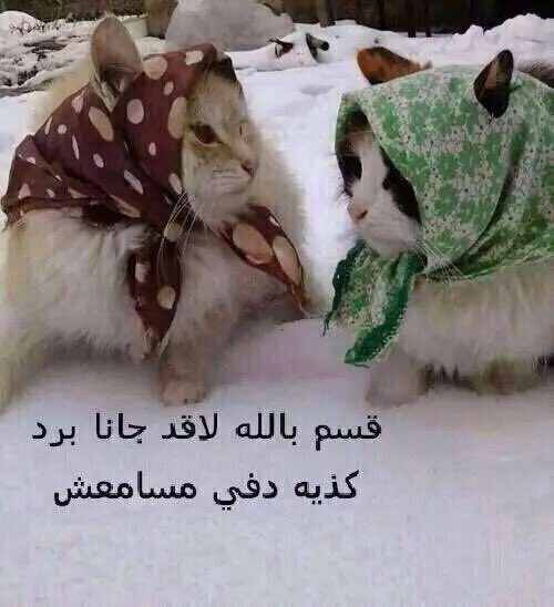 45ng_'s tweet photo. https://t.co/8TznkUuLro