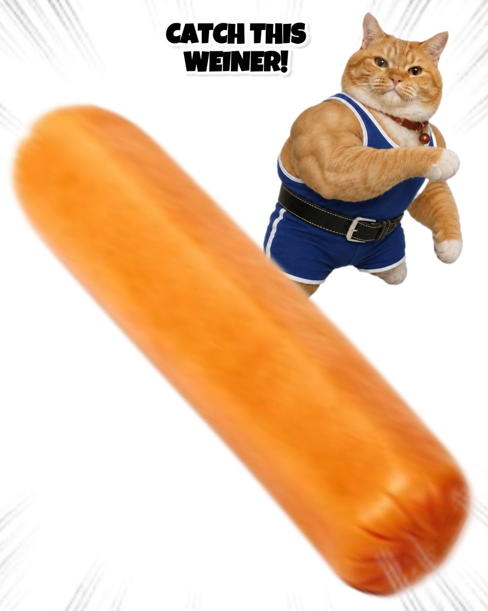 ThrowingObjects's tweet photo. Catch this Weiner! https://t.co/qZOgQxalC6