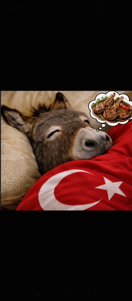 erkotpya's tweet photo. @qokhanavci Mongol eniğin rüyası https://t.co/sPTJS9AqZM