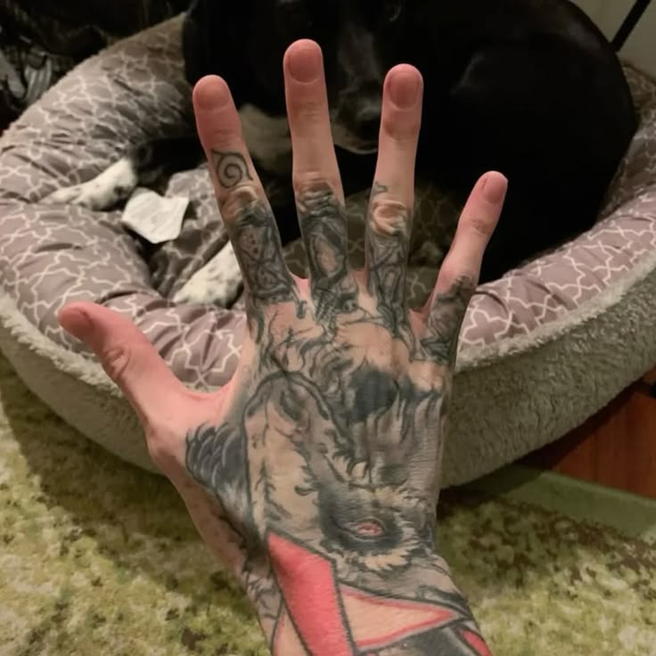 noahsxhands's tweet photo. https://t.co/DvKFXiOPwh