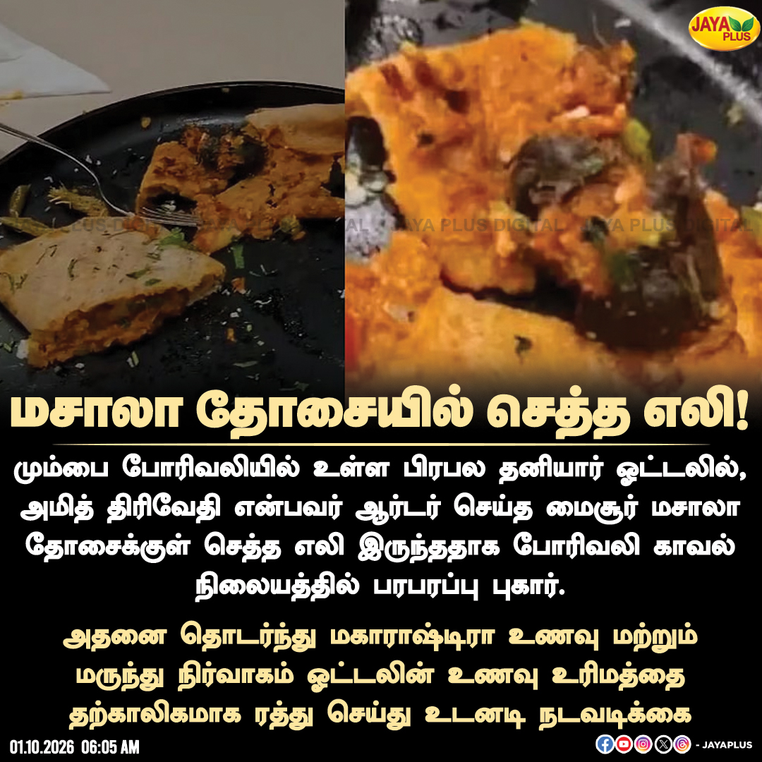 jayapluschannel's tweet photo. மும்பை ஓட்டலில் மசாலா தோசைக்குள் செத்த எலி இருந்ததாக புகார்!
#Mumbai #Borivali #FoodSafety #FoodComplaint #DeadRat #MasalaDosa #RestaurantNews #FSSAI #JayaPlus https://t.co/IoG5dzXZMs