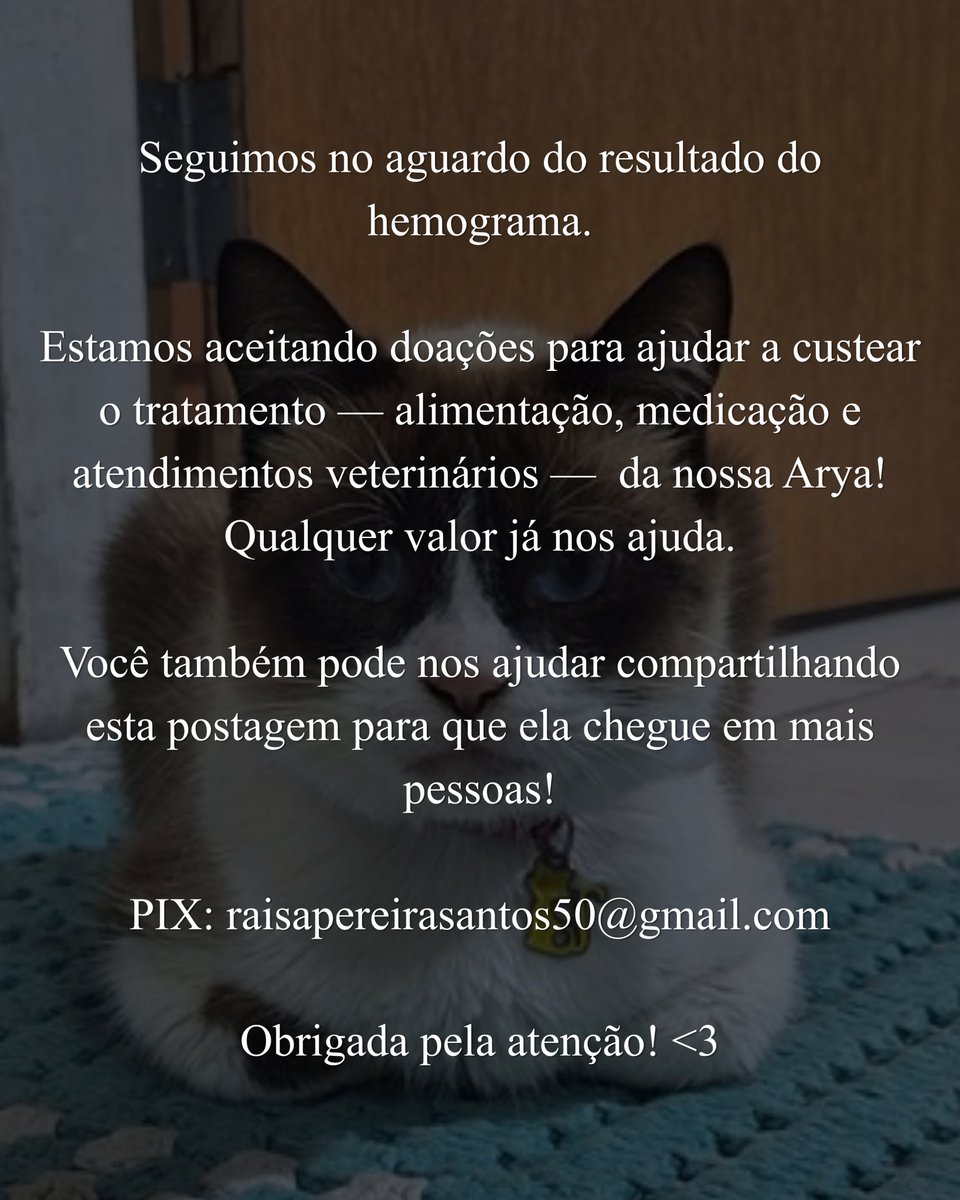 raaaisa__'s tweet photo. Atualizações sobre a Arya!

PIX: raisapereirasantos50@gmail.com

Obrigada pela atenção! <3 https://t.co/KdqfiYv5Ua