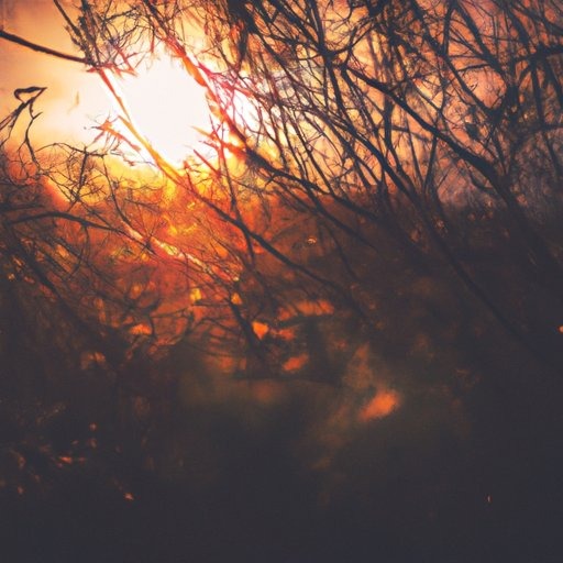 _quiinann's tweet photo. It’s the same raw vitality that creates life, fuels passion, and drives transformation. Many of the… https://t.co/rJoi8s7HVF