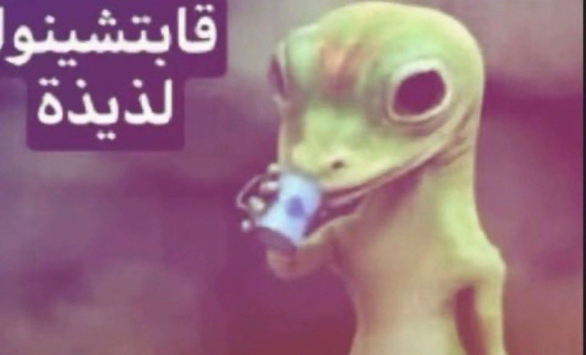 xwewno's tweet photo. عندنا عرس لاحد من العايله وقرب مره ماشرينا ولا شي واهلي تو يستوعبون والبيت قايم وقاعد  وانا جالسه اشرب قهوه بالصاله https://t.co/sZ7aBifGwt